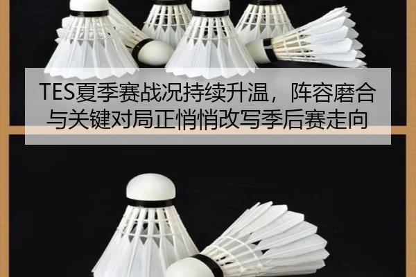 TES夏季赛战况持续升温，阵容磨合与关键对局正悄悄改写季后赛走向